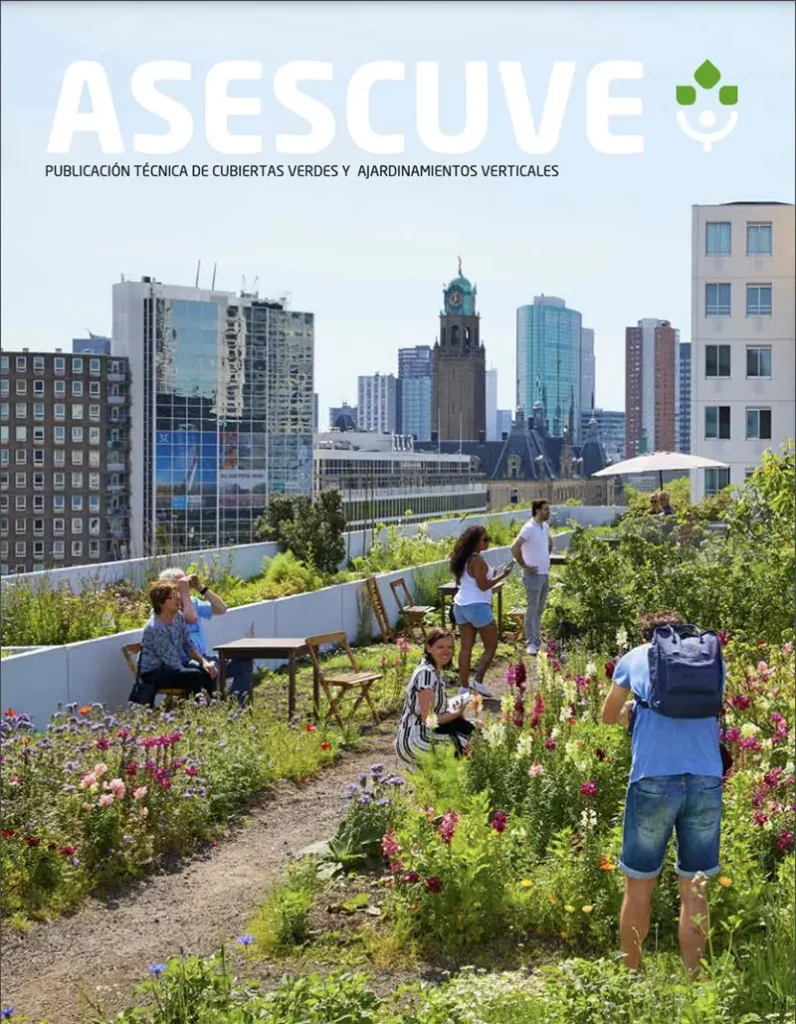 Portada de publicación técnica Asescuve