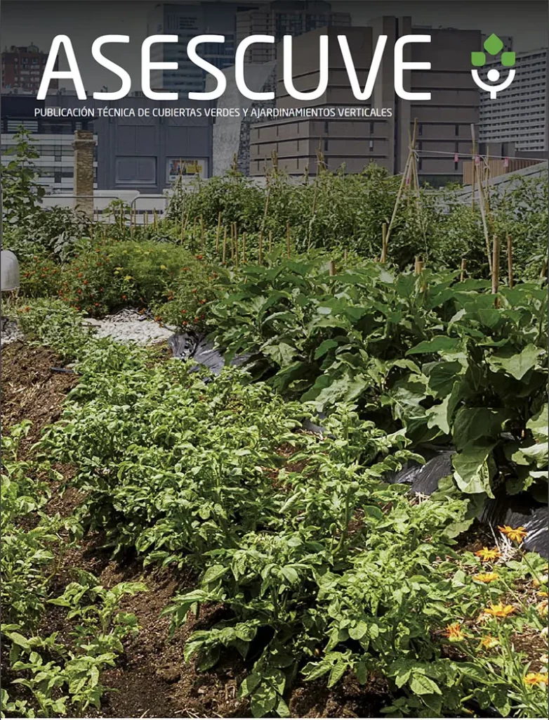 Revista Asescuve, portada