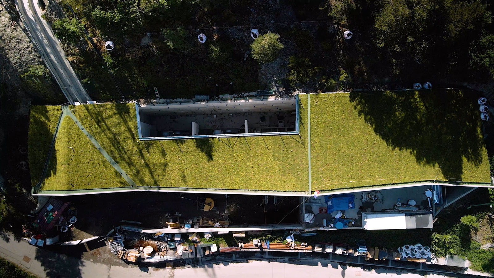 Techos verdes, azoteas vegetales