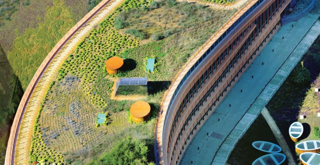 Cubiertas verdes, techos ajardinados