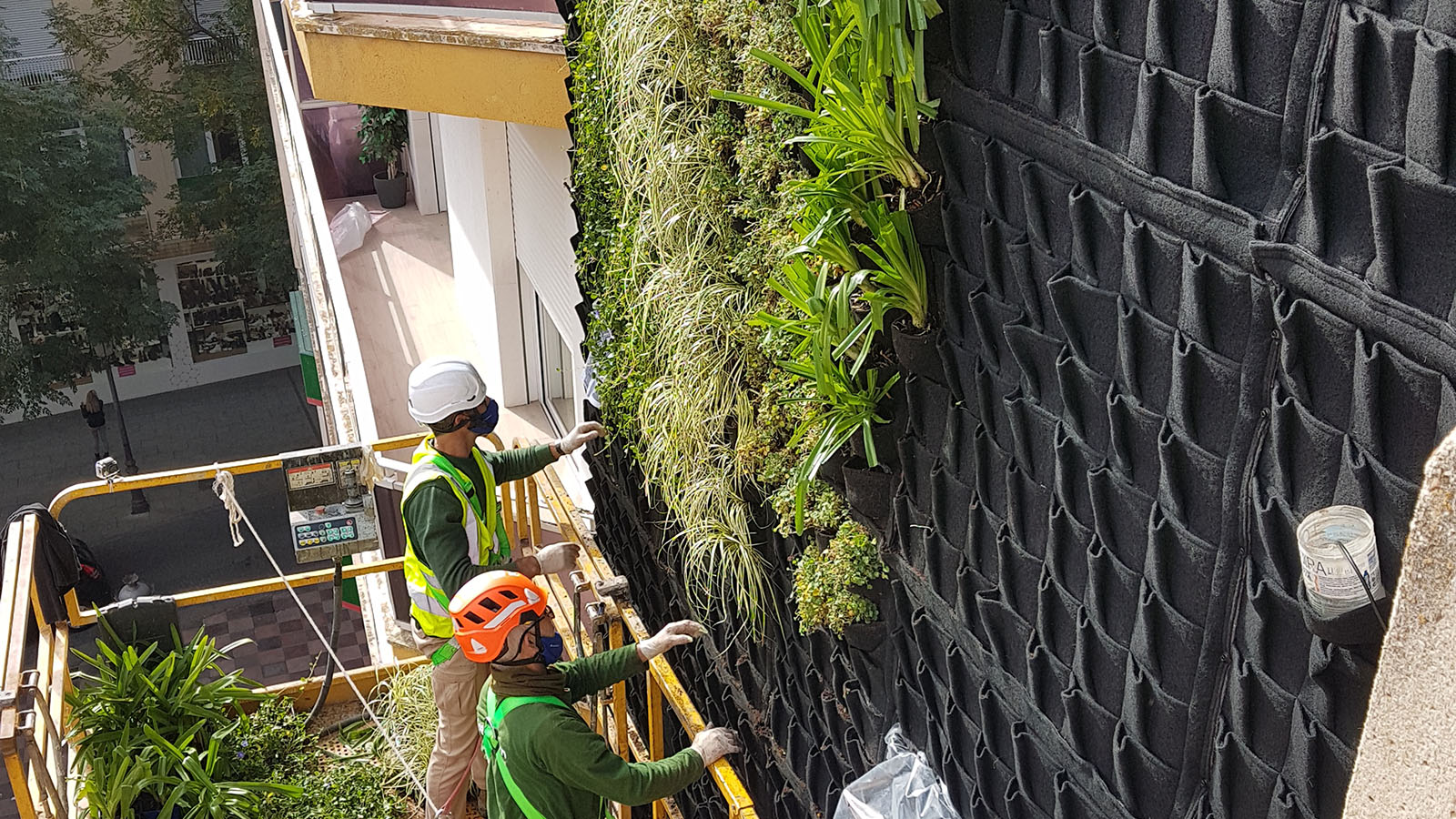 Revestimientos vegetales