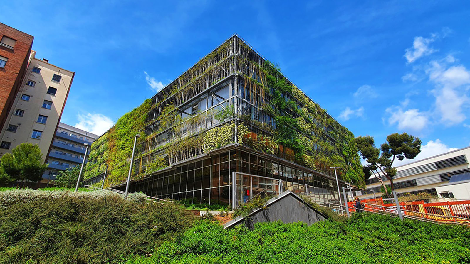 Fachadas verdes, muros vivos