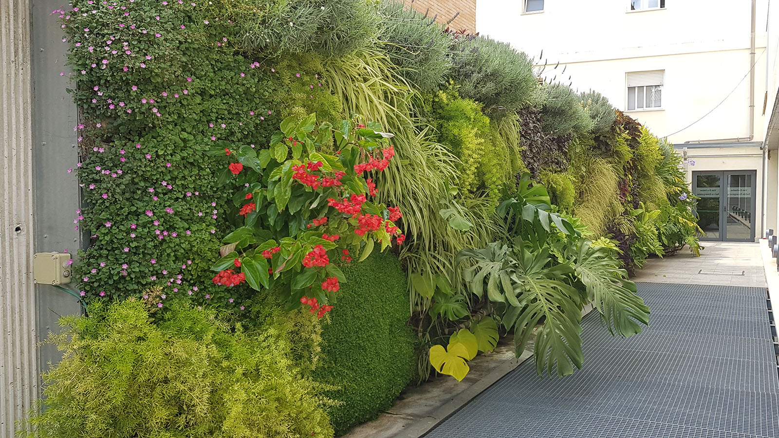 Jardines verticales verdes en espacios urbanos