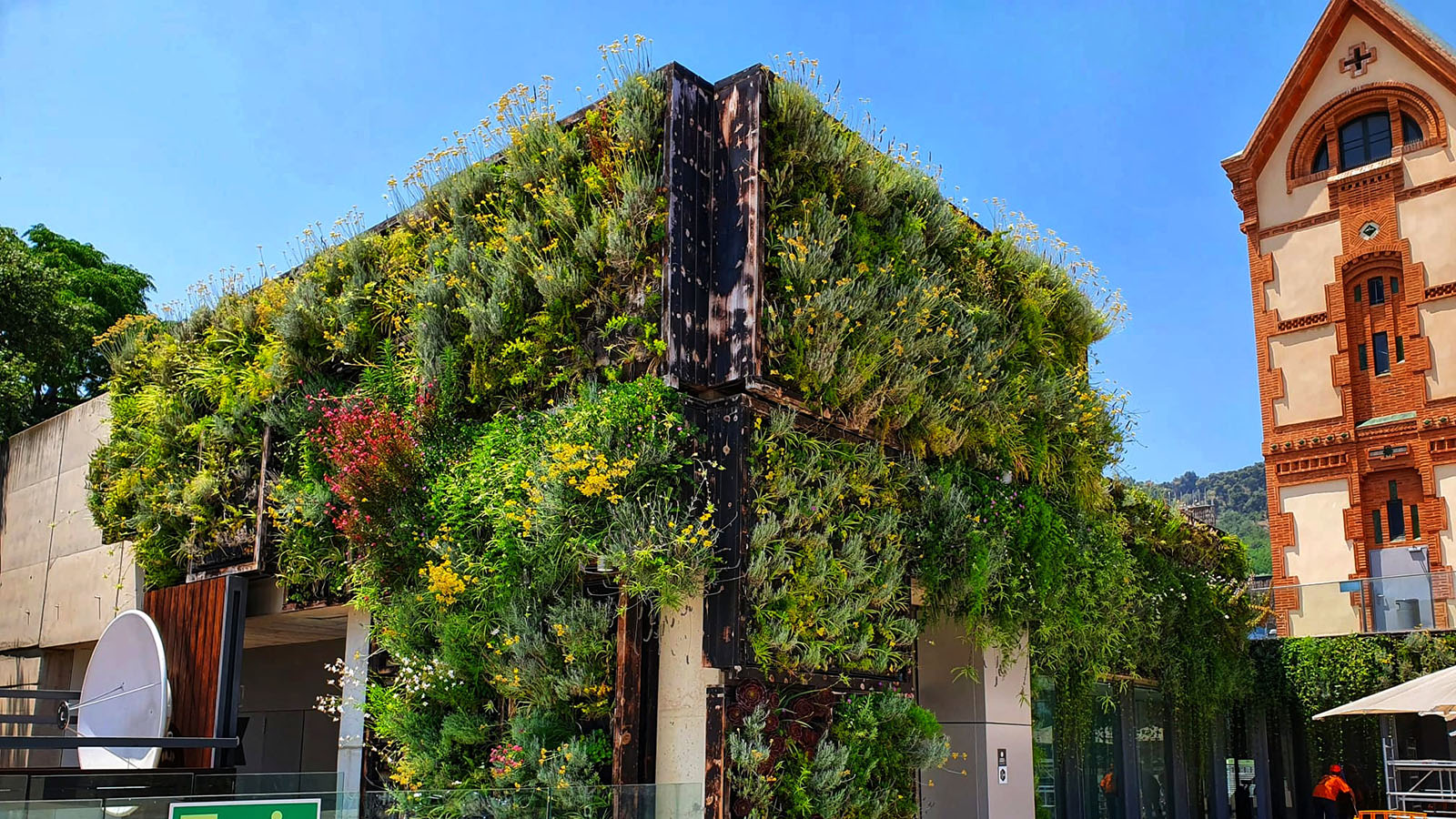 Fachadas verdes en edificios