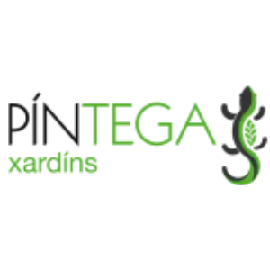Logo Píntega