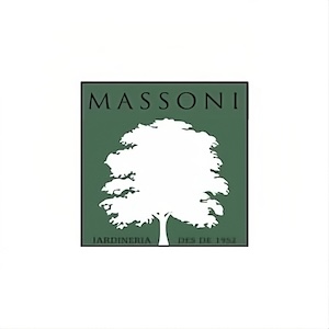 Logo Massoni