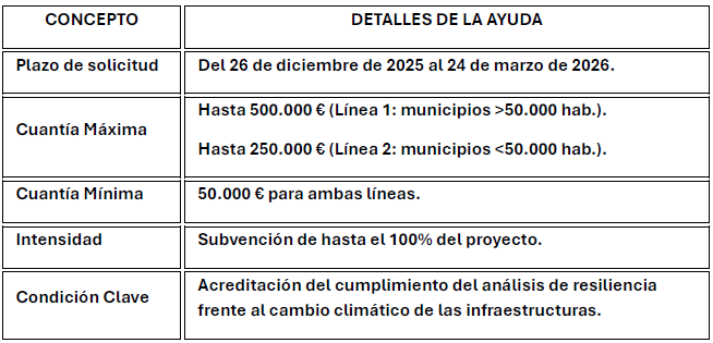 Tabla resumen ayudas