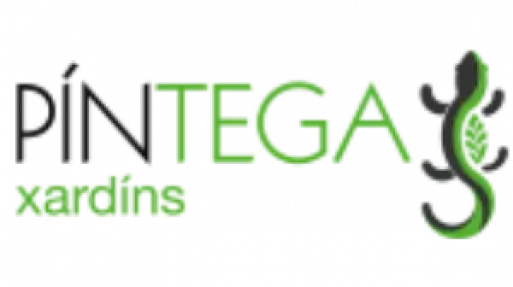 pintega